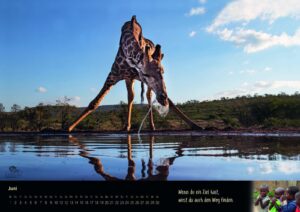 Our Charity Africa Calendar 2022 is available :-)