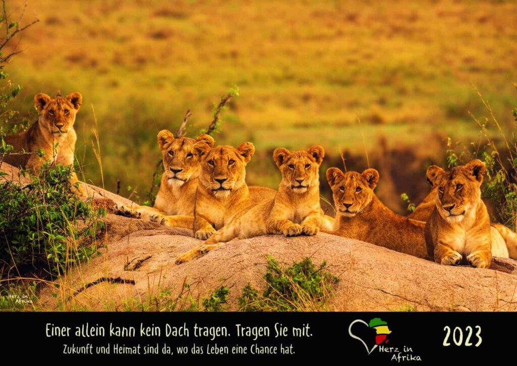 Benefiz Afrika Kalender 2023 Titelbild