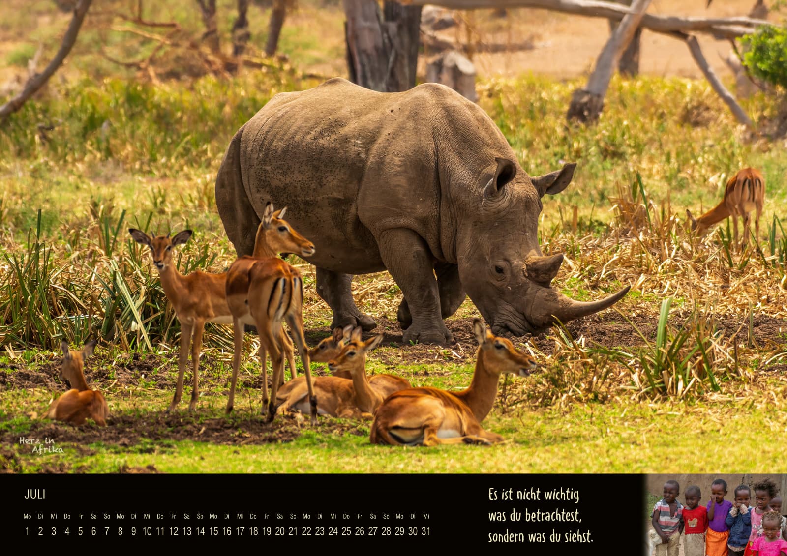 Afrika Wandkalender 2024 Monat Juli - Nashorn im Solio Reservat (Kenia)